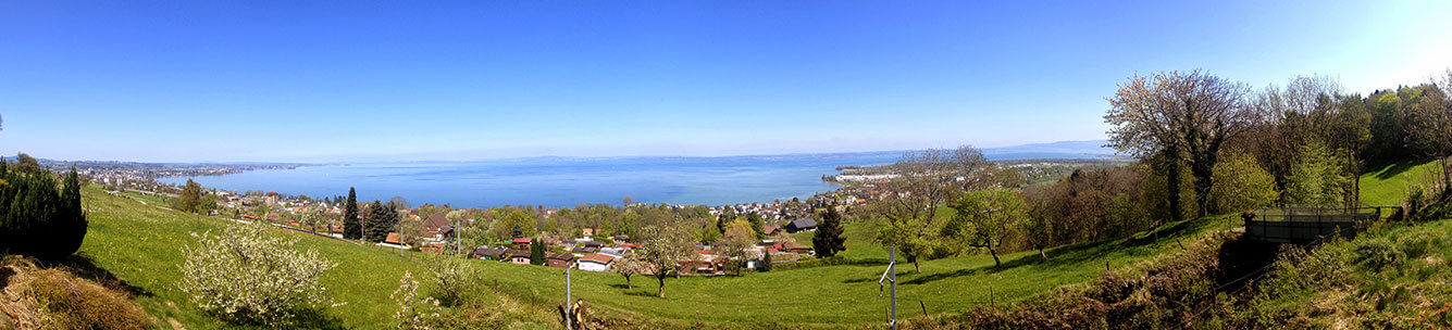 Panorama vom Bodensee im Sonnenlicht